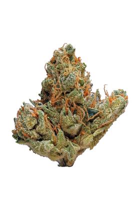Yoda - Híbrida Cannabis Strain