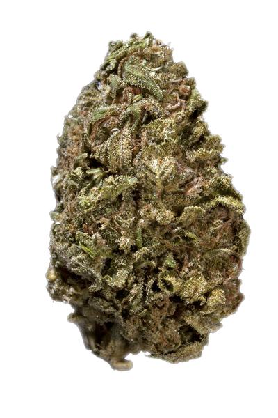 Yummy - Hybrid Cannabis Strain