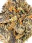 Zelato Hybrid Cannabis Strain Thumbnail