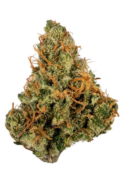 Zelly's Gift - Híbrida Cannabis Strain