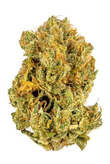 Zest - Hybrid Cannabis Strain