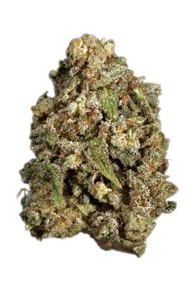 Zeta OG - Hybrid Cannabis Strain