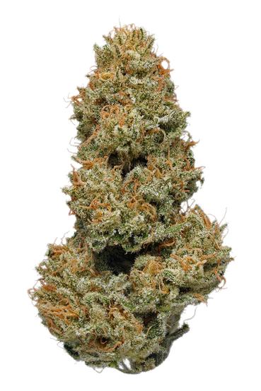 Zeta Sage - Hybrid Cannabis Strain