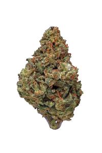 Zeus OG - Hybrid Cannabis Strain