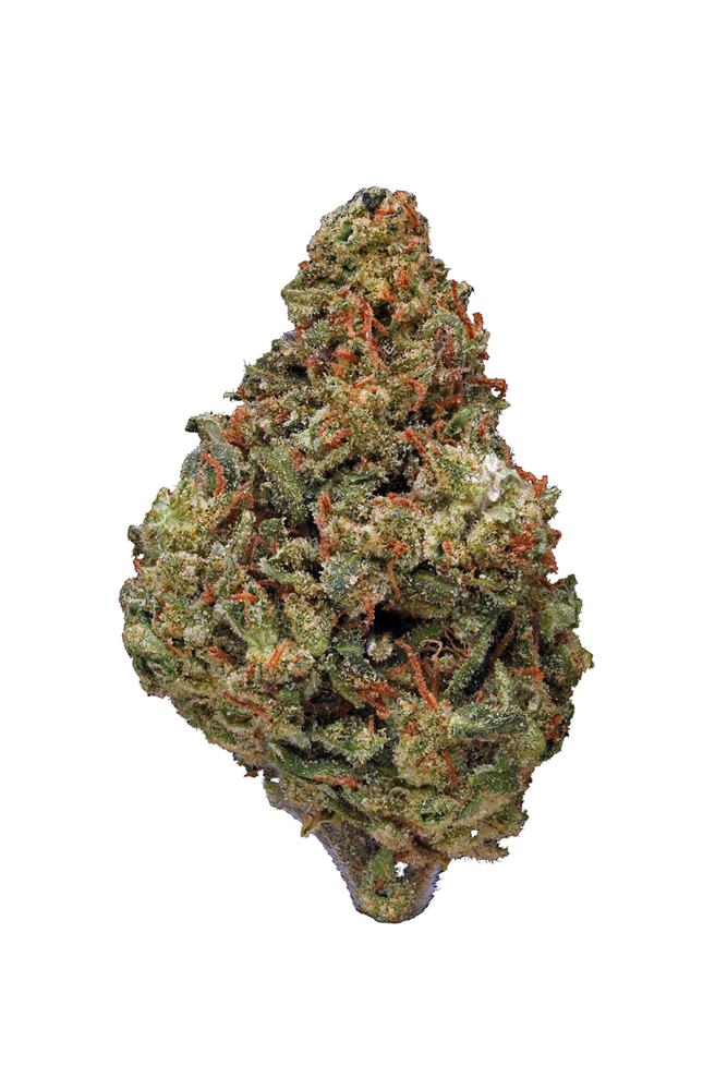 Zeus OG Strain - Hybrid Cannabis Review, CBD, THC : Hytiva