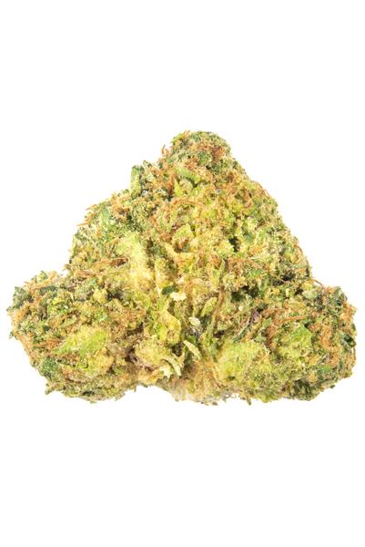 Zkillato - Híbrida Cannabis Strain