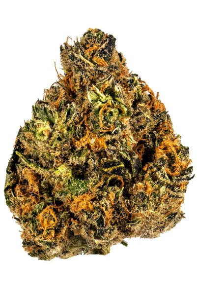 Zombie Kush - Híbrida Cannabis Strain