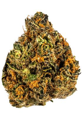 Zombie Kush - Híbrida Cannabis Strain