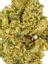 Zweet Inzanity Hybrid Cannabis Strain Thumbnail